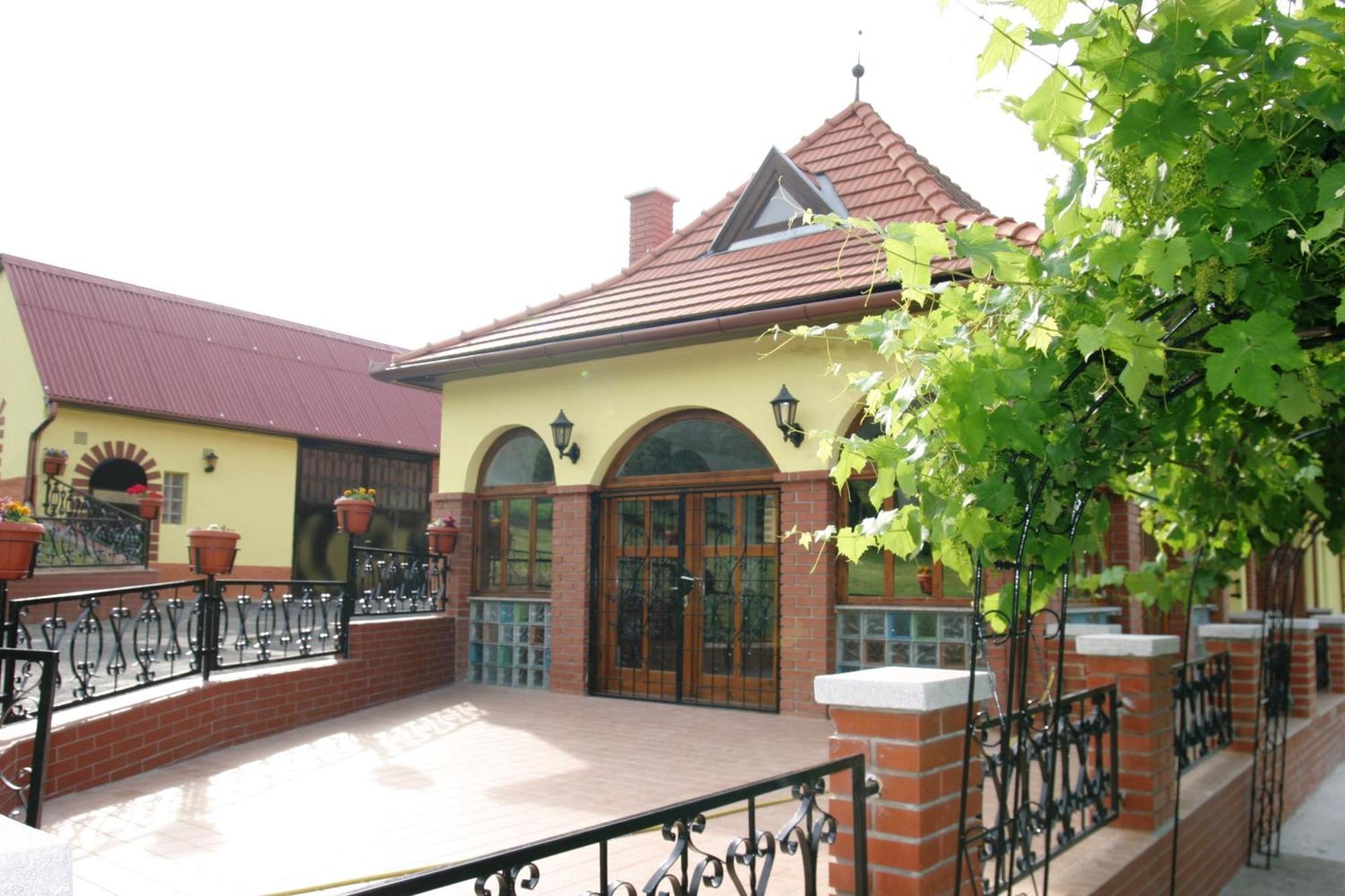 Villa Teleki Екстериор снимка