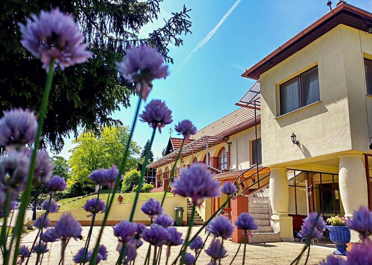 Villa Teleki Екстериор снимка