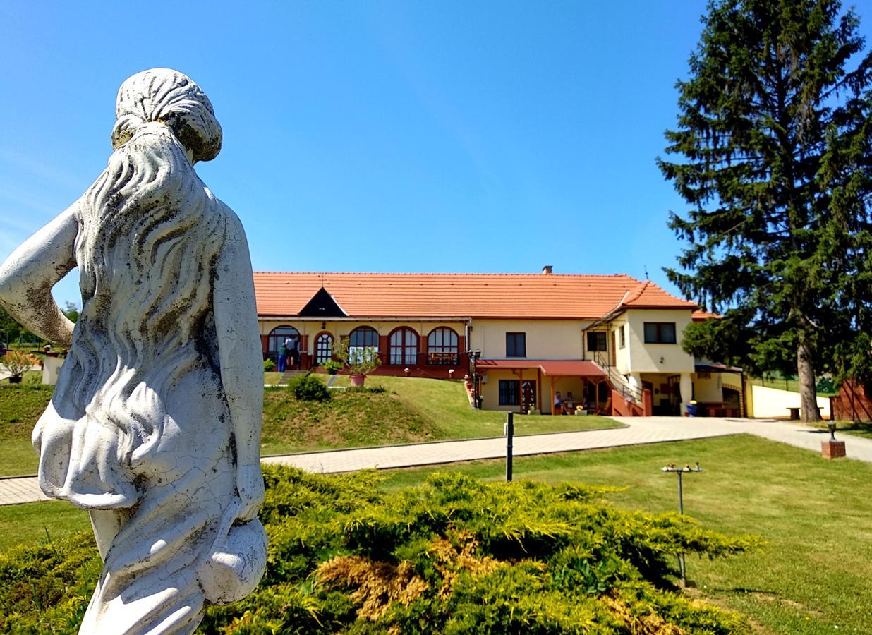 Villa Teleki Екстериор снимка