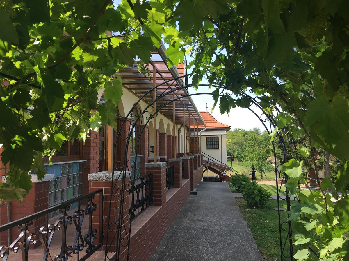 Villa Teleki Екстериор снимка