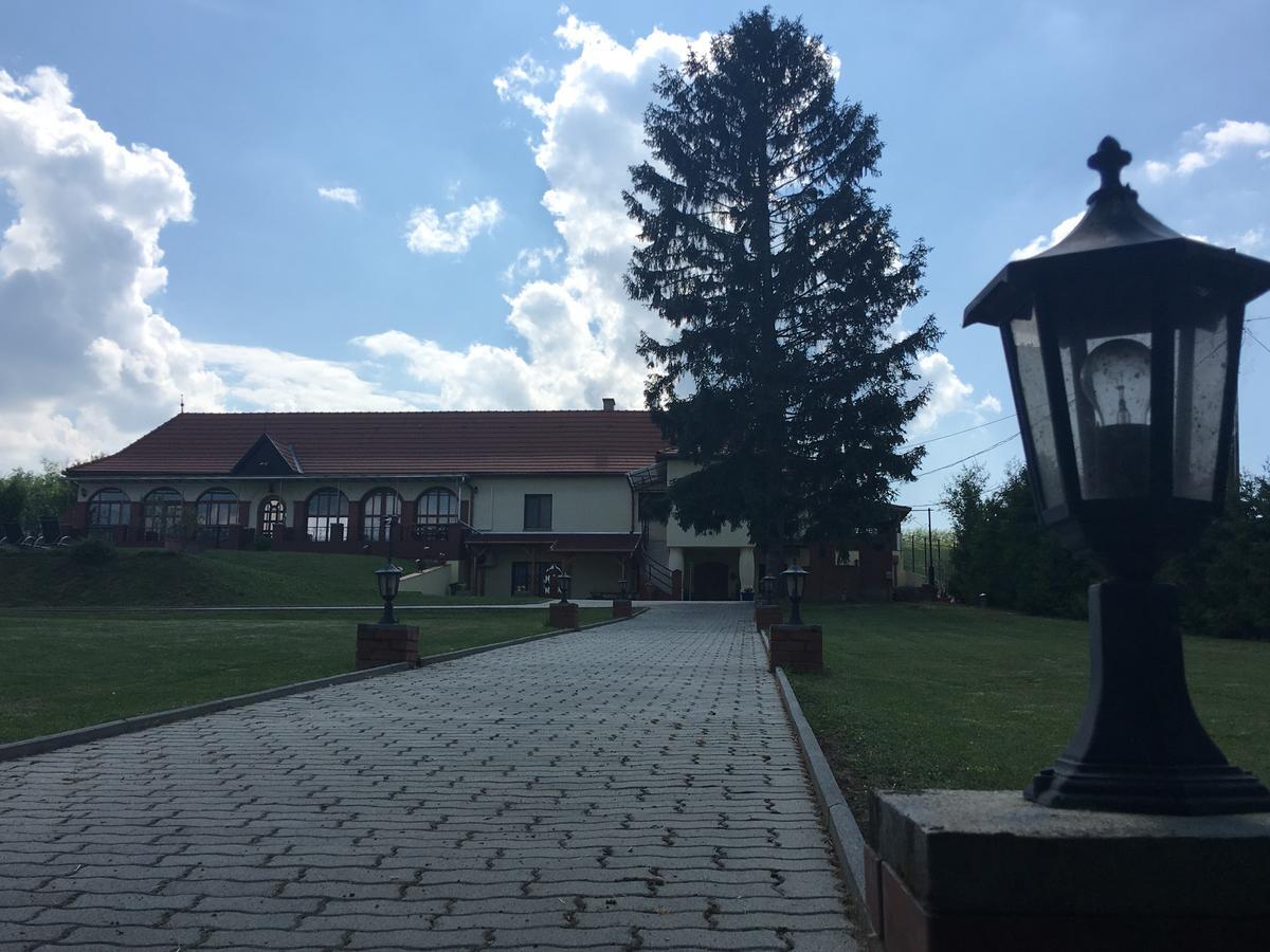 Villa Teleki Екстериор снимка
