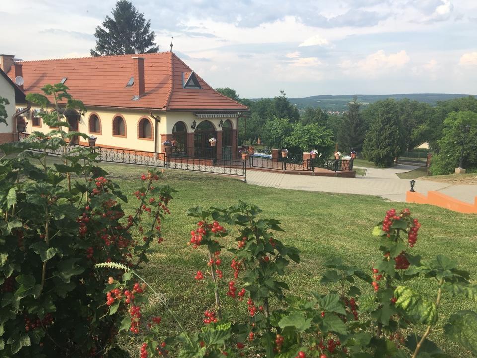 Villa Teleki Екстериор снимка